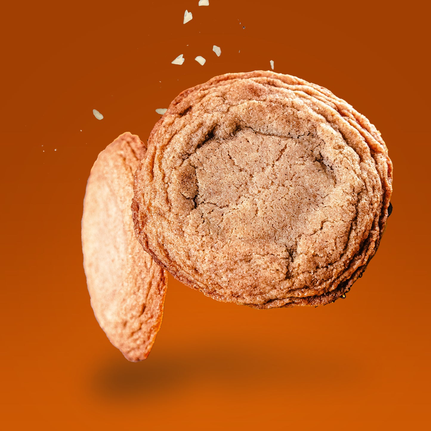 CANELA DEL SOL (SNICKERDOODLE)